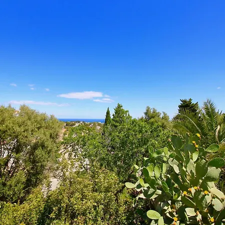 Don Quijote La By Carlosferien